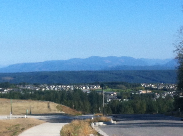 photo2