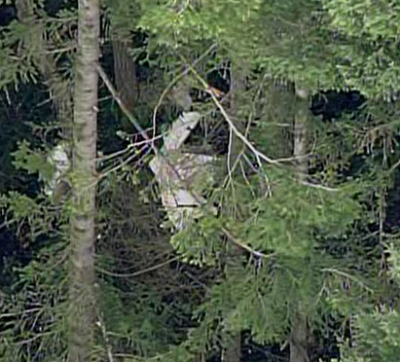 Plane wreckage discovered Feb. 15, 2013. Photo: Komo News