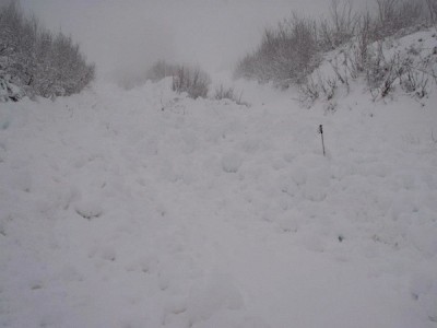 Granite Mountain avalanche debris field, ski pole was a clue.  Photo: Seattle Mountain Rescue Facebook page