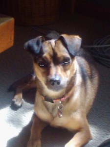carly