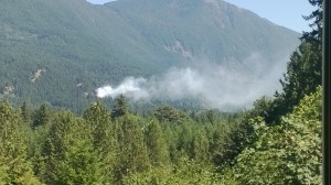 forest fire
