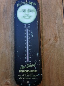 thermometer