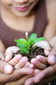 plantinhands