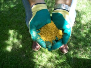 fertilizer