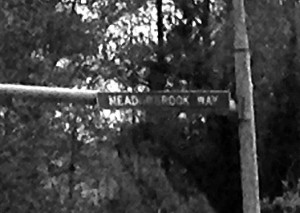 meadowbrookway