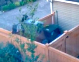 bearwithgarbagecan