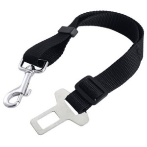 seatbelt