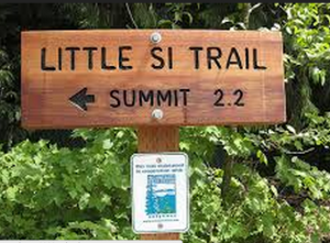 littlsi