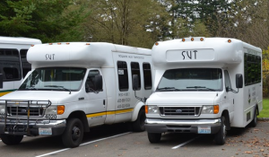 svt buses