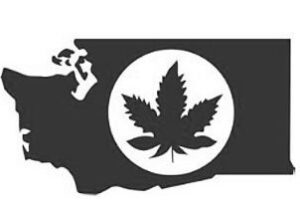 pot