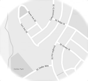 stellar:fern area