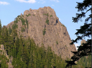 The Tooth