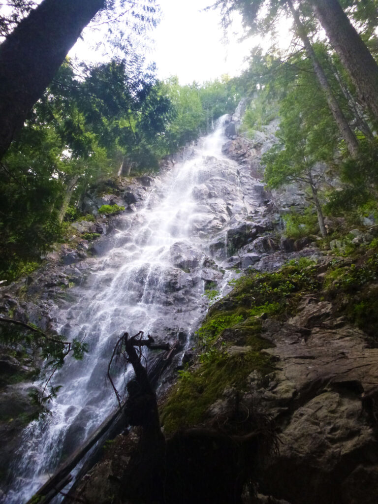 Mt. Teneriffe Falls. Photo: All Trails website