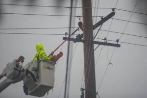 pse-crews