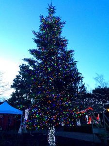 tree-xmas