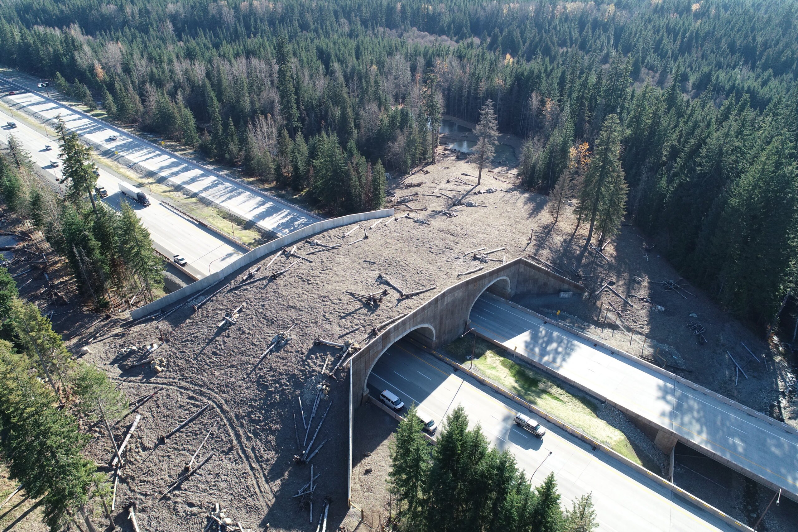 Snoqualmie Pass Wildlife Crossing Structures: A Bridge To Safety For ...