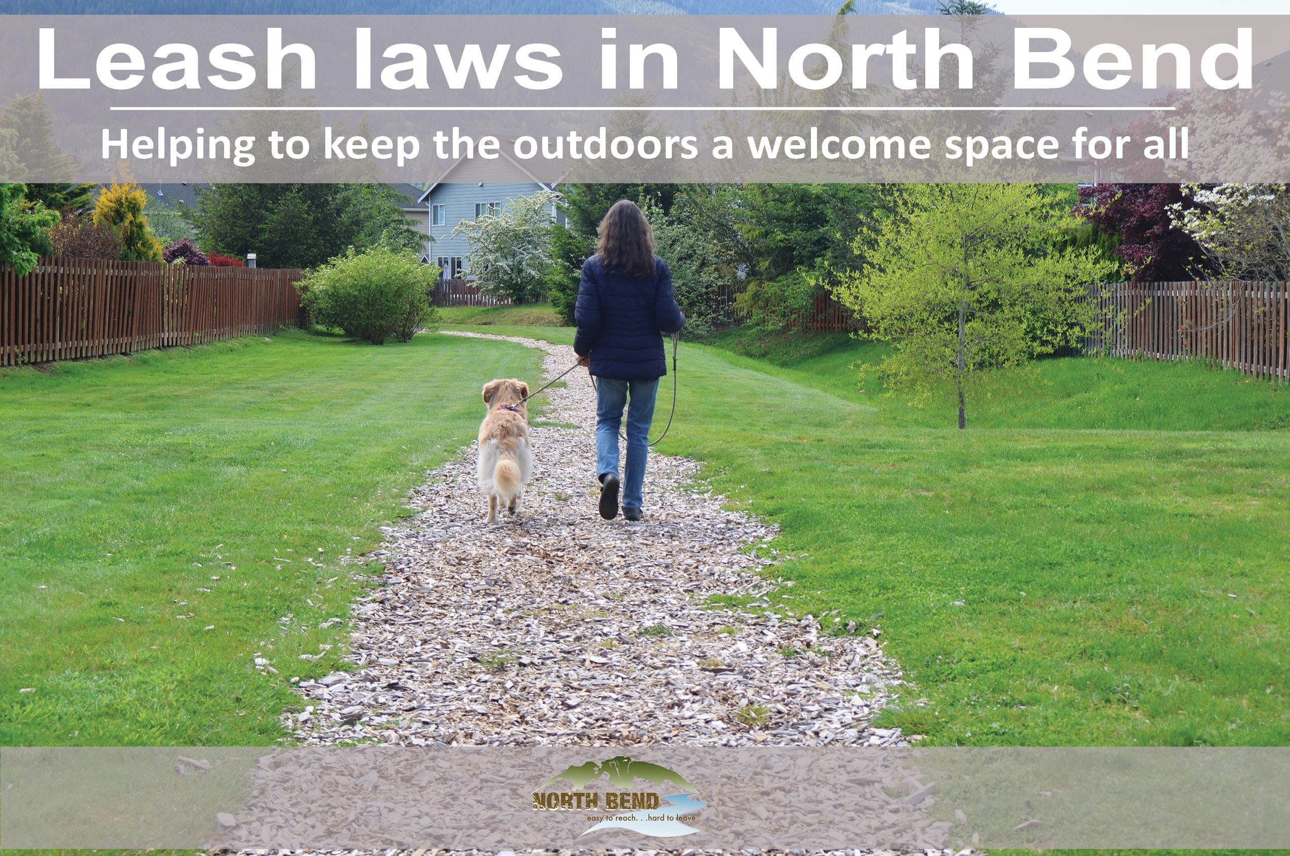 north-bend-resident-urges-stricter-enforcement-of-leash-laws-at-council